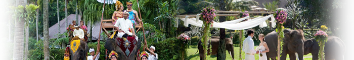 wedding banner